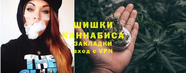 стаф Белокуриха