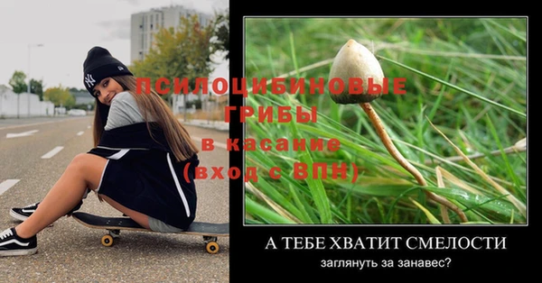 стаф Белокуриха